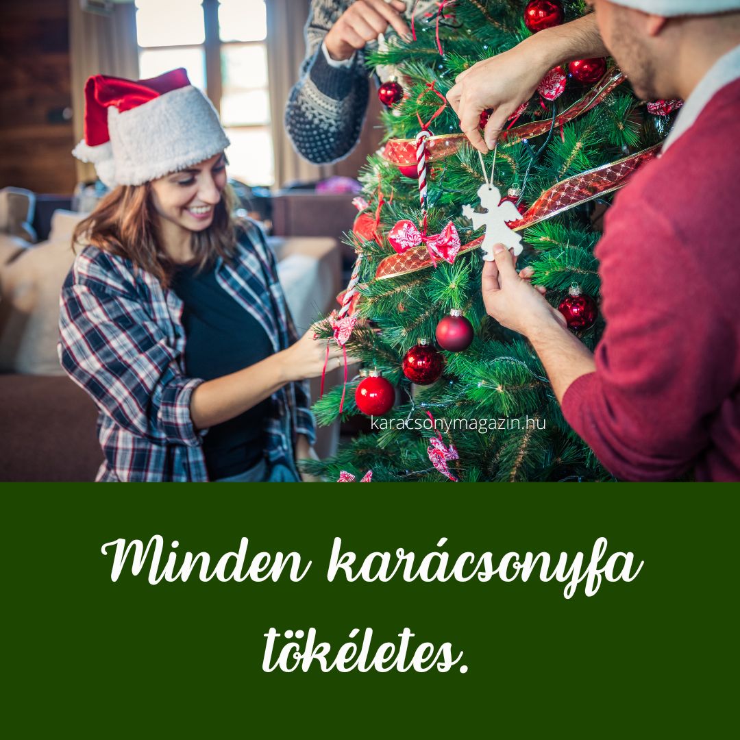 karácsonyfa idézet tökéletes